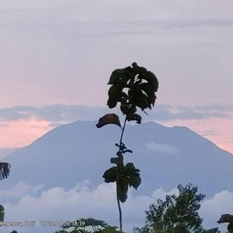 Villa Ume Tenang Nusa Penida Exterior foto